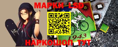 apvp Краснодар
