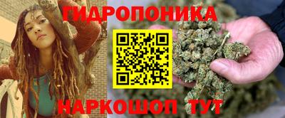 apvp Краснодар