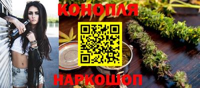 apvp Краснодар