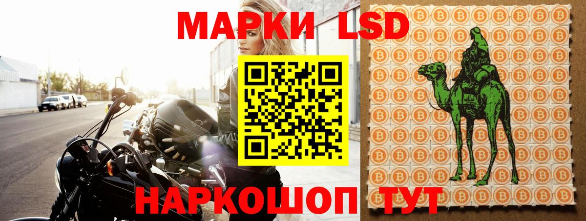 LSD-25 экстази ecstasy Зеленогорск