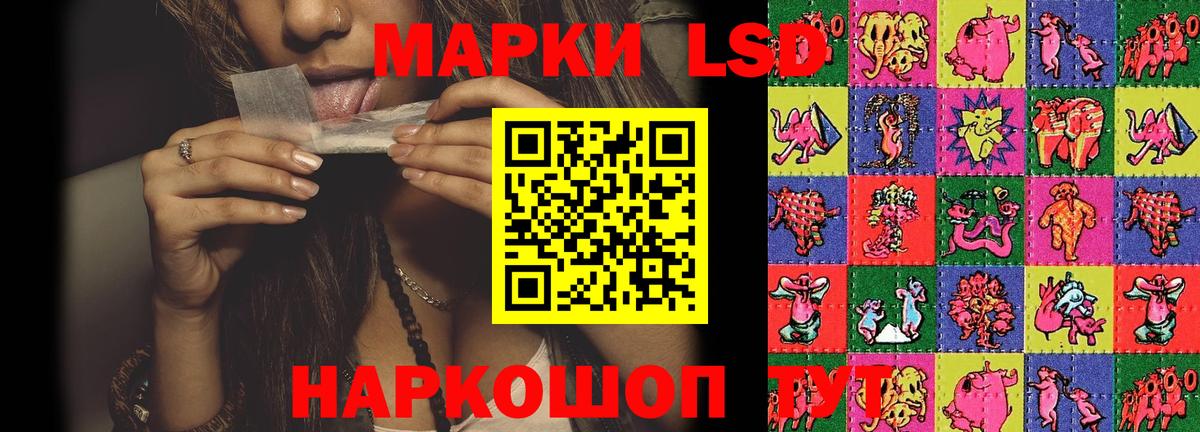 блэк спрут зеркало  Лсд 25 экстази ecstasy  ЛСД экстази  Вход с VPN  Зеленогорск 